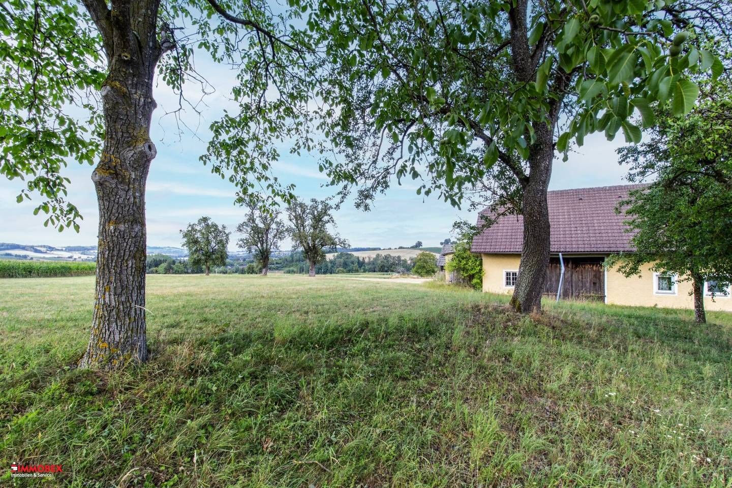 5000m² Grundstück - mit Altbestand