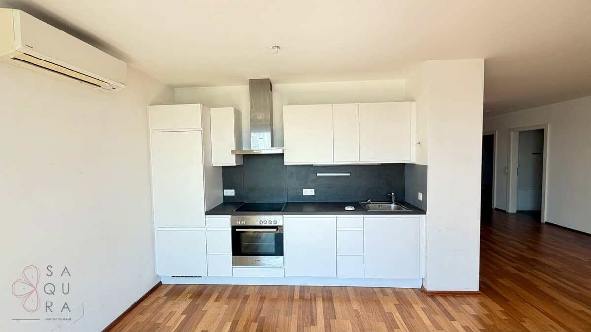 Apartment with panoramic view over Alte Donau and lift