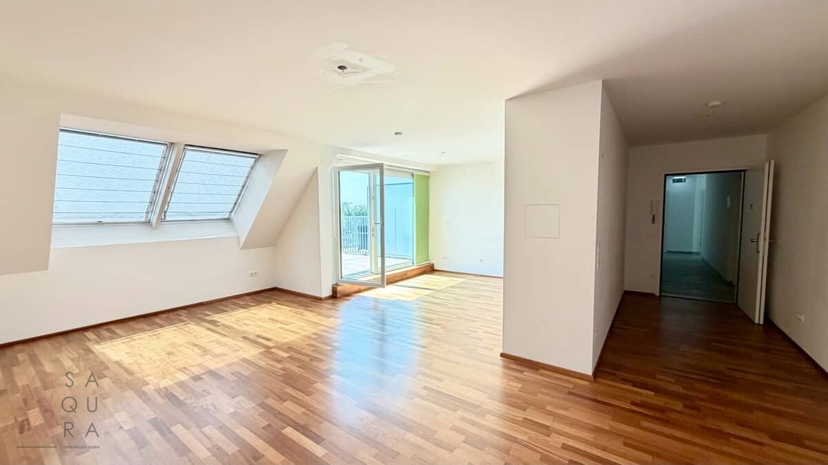 Apartment with panoramic view over Alte Donau and lift