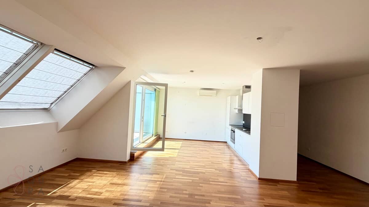 Apartment with panoramic view over Alte Donau and lift