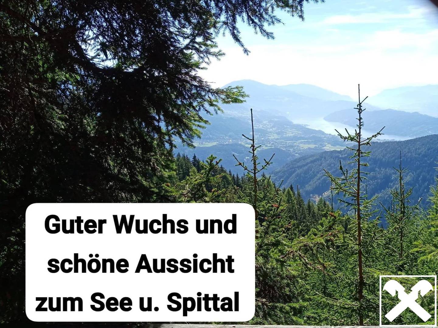 Südseitiger Waldrückzugsort mit nachhaltigem Baumbestand Wohnung