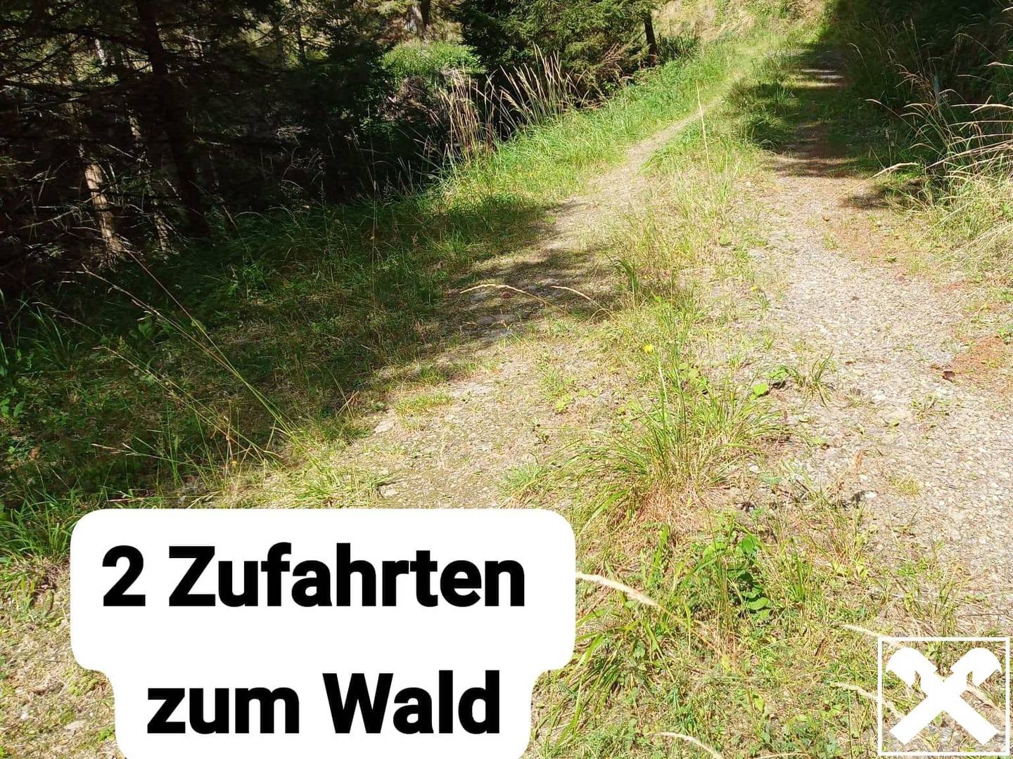 Südseitiger Waldrückzugsort mit nachhaltigem Baumbestand Wohnung