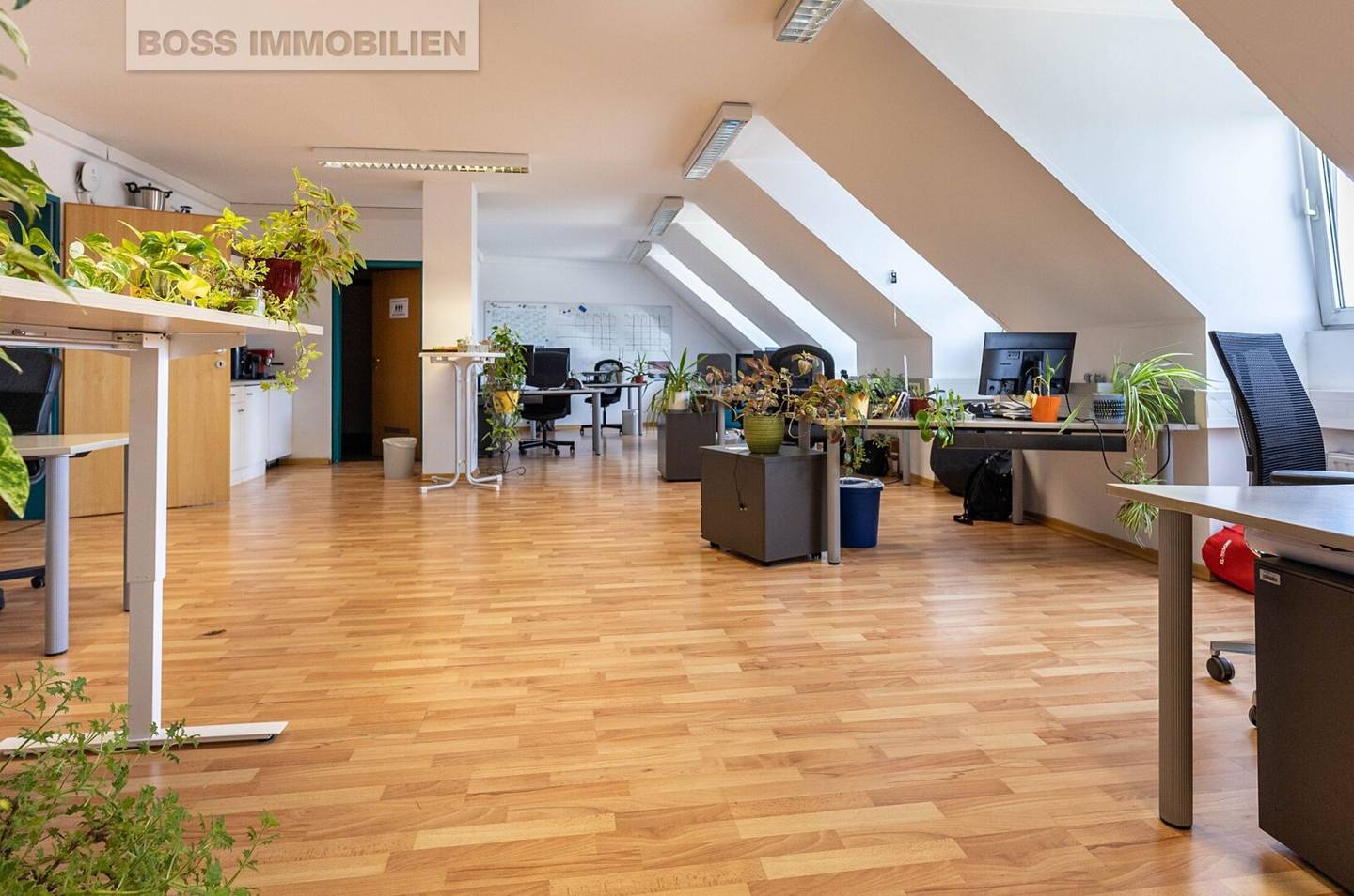184 m² Workspace for Productive Work