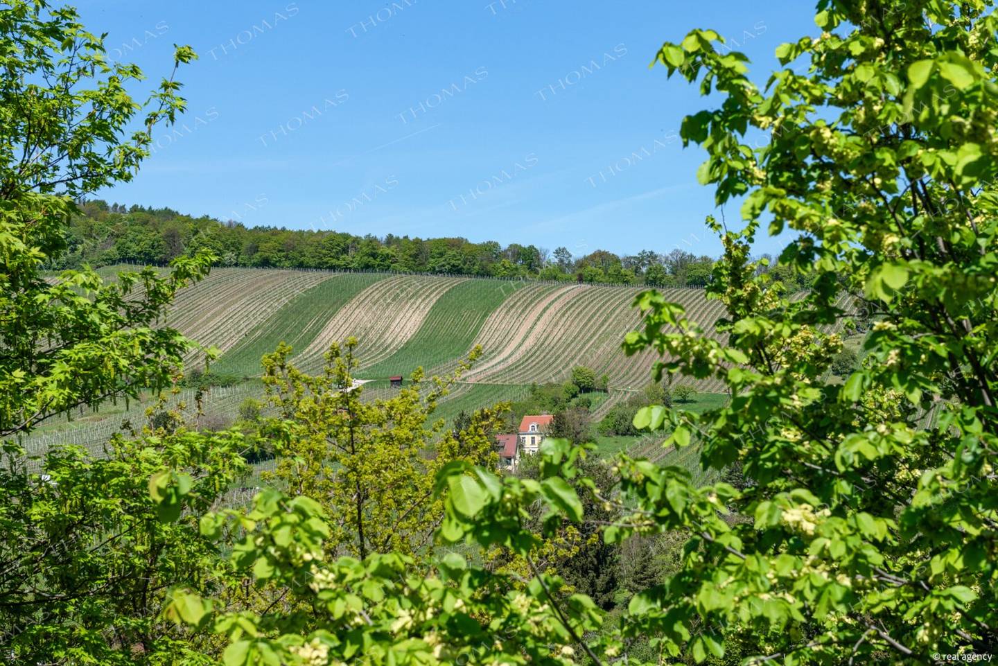 Maisonette mit Garten &amp; Grünblick auf die Neustifter Weinberge
