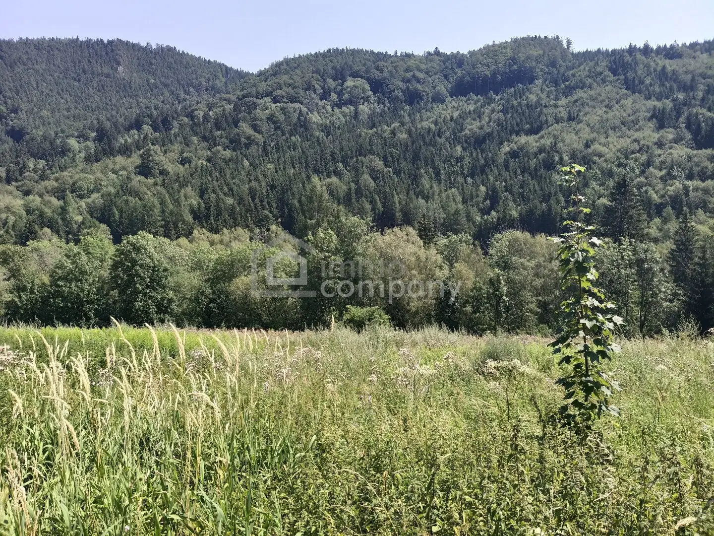 Traum-Baugrund in Semmering-Kurort, 1272m²