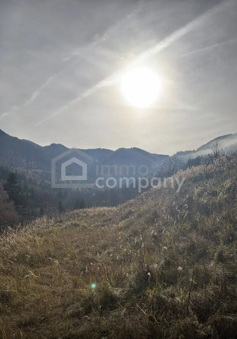 Traum-Baugrund in Semmering-Kurort, 1272m²