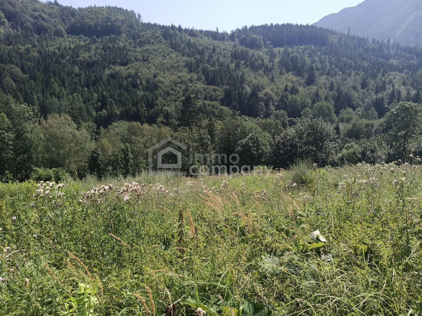 Traum-Baugrund in Semmering-Kurort, 1272m²