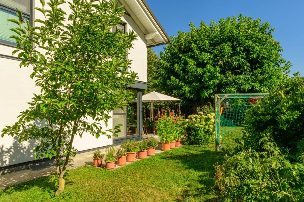 Wohnen mit Naturanschluss – modernes Einfamilienhaus in Vorchdorf