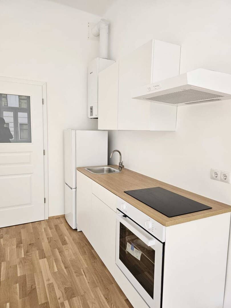New Fully Renovated 1-Room Small Apartment in an Up-and-Coming Location