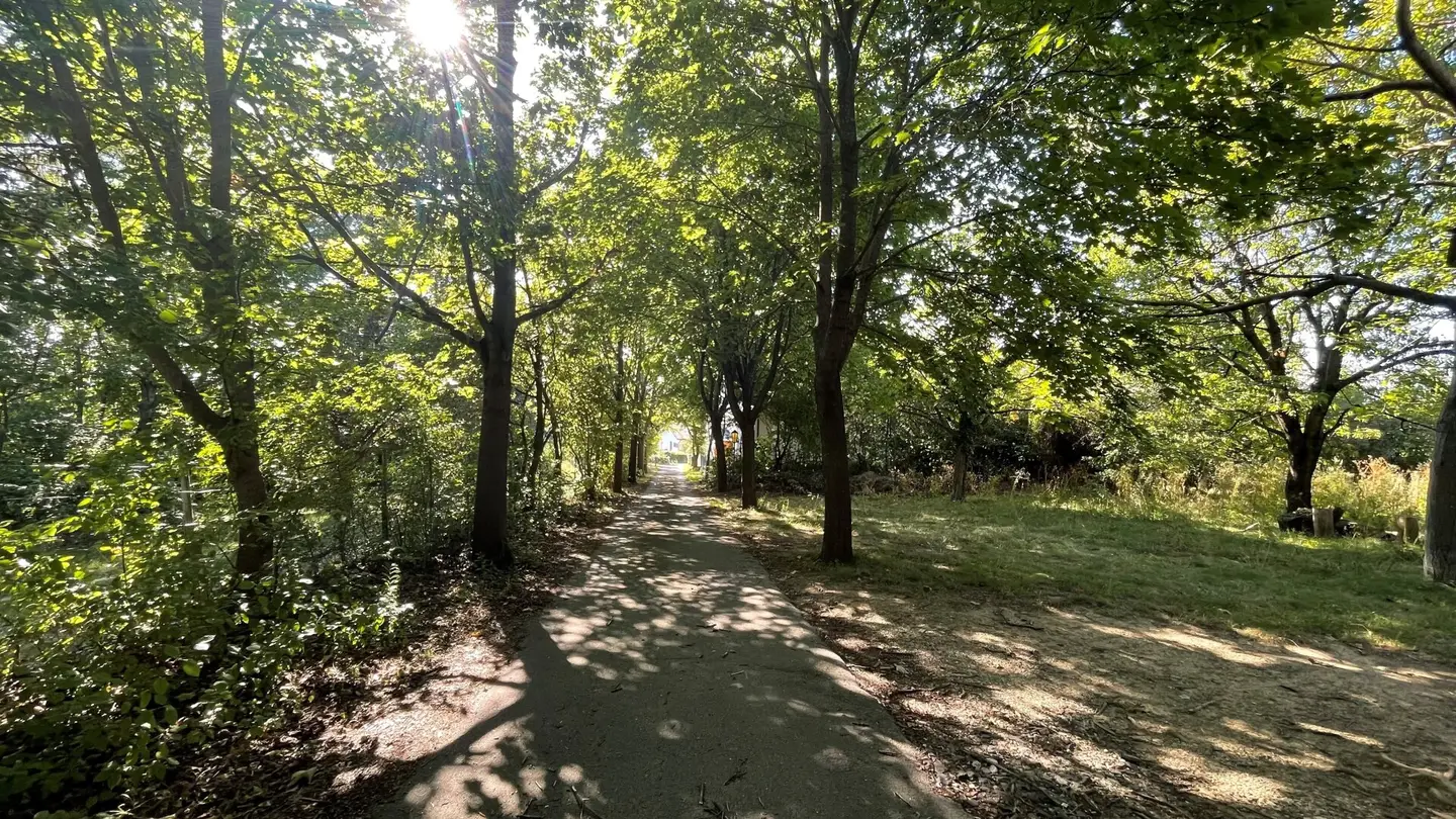 Quietly located building plot with private access in Bad Fischau-Brunn
