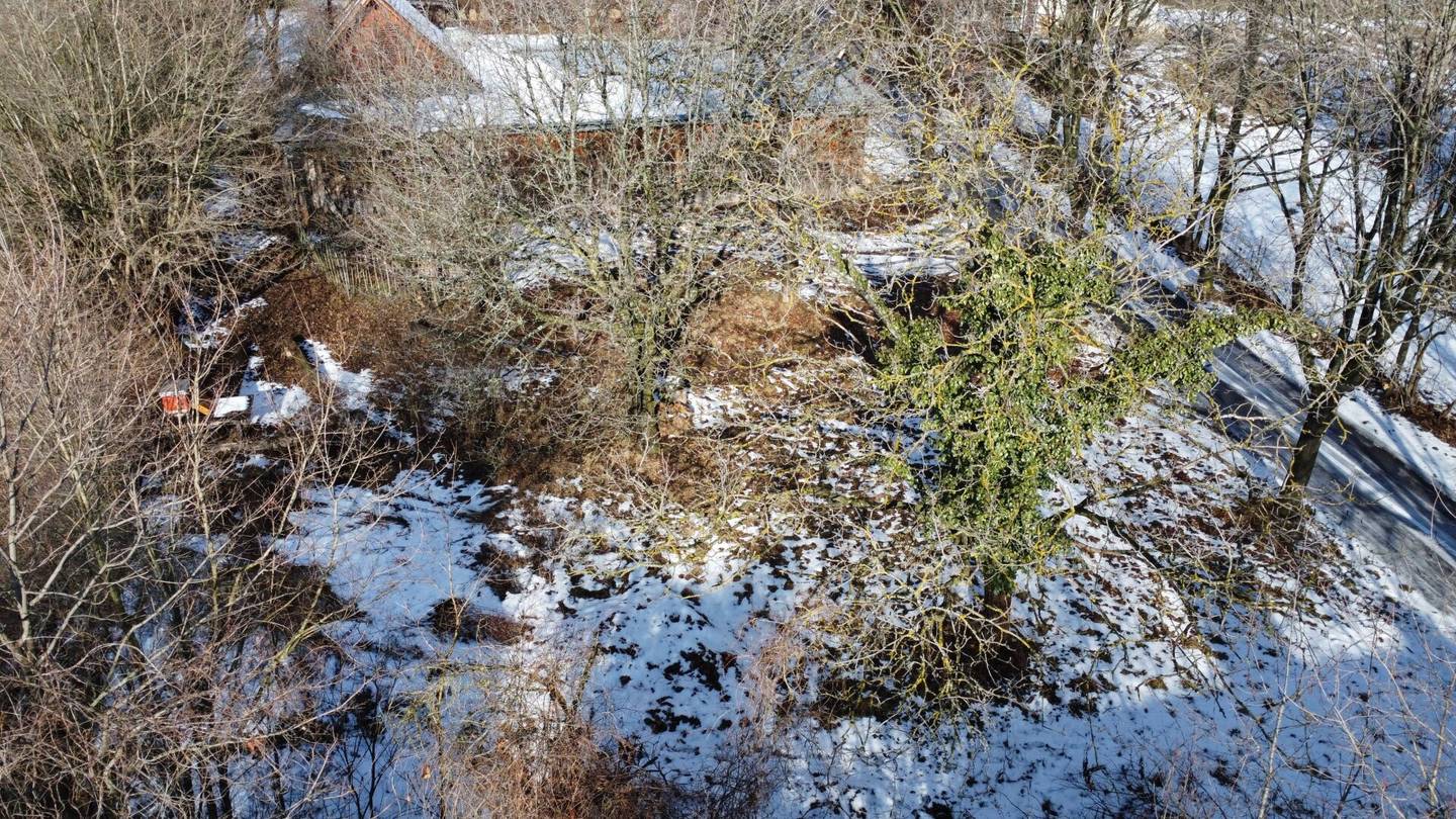 Quietly located building plot with private access in Bad Fischau-Brunn
