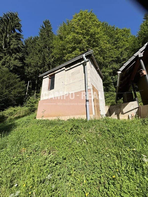 WOHNHAUS im abgeschiedenen Grünlandbereich im Pielachtal - Natur pur