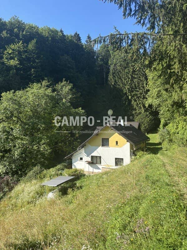 WOHNHAUS im abgeschiedenen Grünlandbereich im Pielachtal - Natur pur