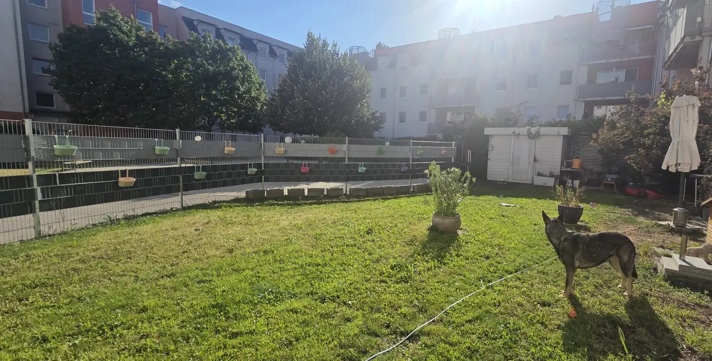 Gartenwohnung in Wiener Neustadt – neuwertig, barrierefrei und zentrumsnah – nur wenige Minuten vom Domplatz und der Innenstadt entfernt!