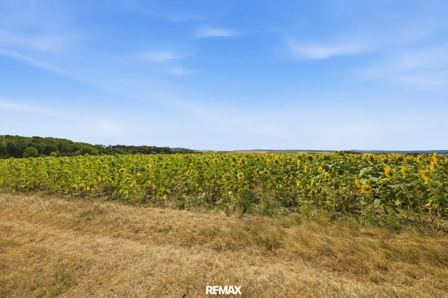 Agricultural land with 7926 m² in Untermallebern for sale