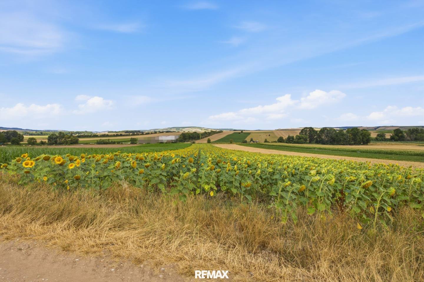 Landwirtschaftliche Fläche mit 11 710 m² in Untermallebern zu verkaufen!