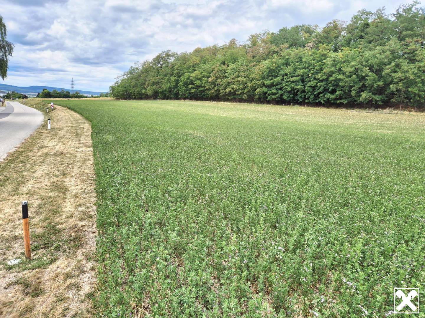 Commercial land in business zone with utility connections Apartment