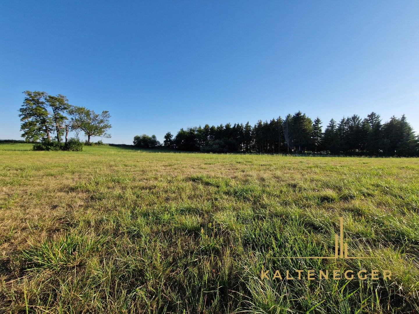 Nahe zu Wiener Neustadt: ca. 2939 m² großes Grundstück in idyllischer Gemeinde