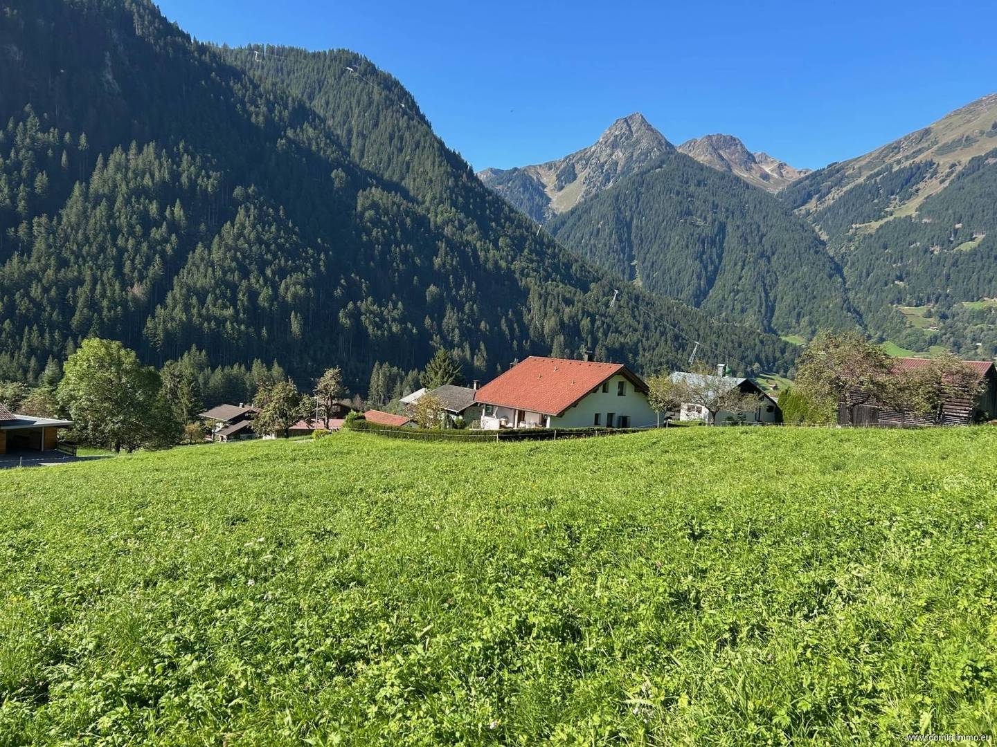 Sonnige Hanglage mit Umwidmungspotenzial Wohnung