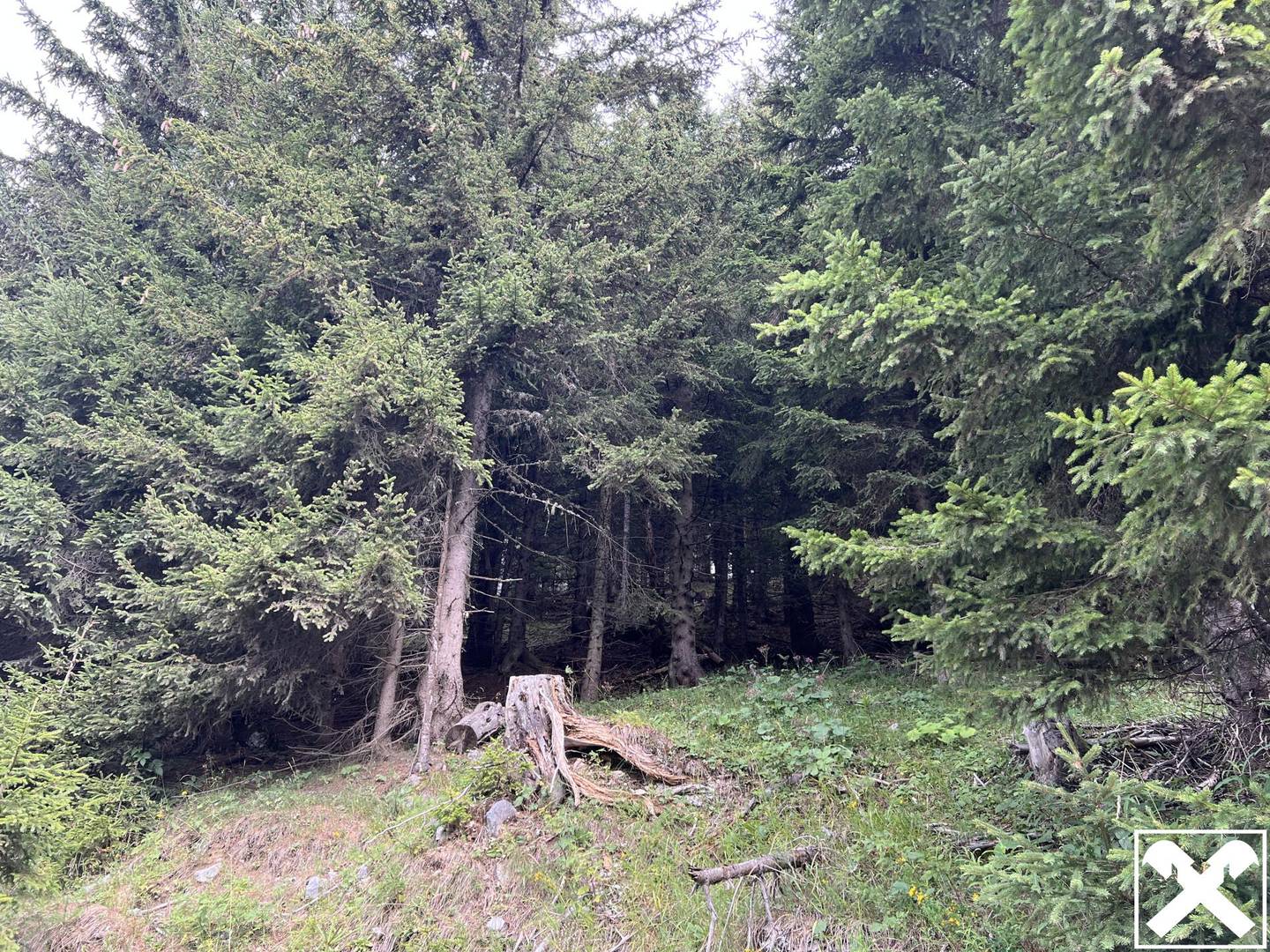 Waldparzellen unter der Feistritzer Alm Anlegerwohnung