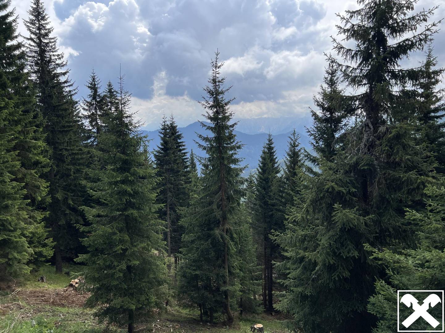 Waldparzellen unter der Feistritzer Alm Anlegerwohnung