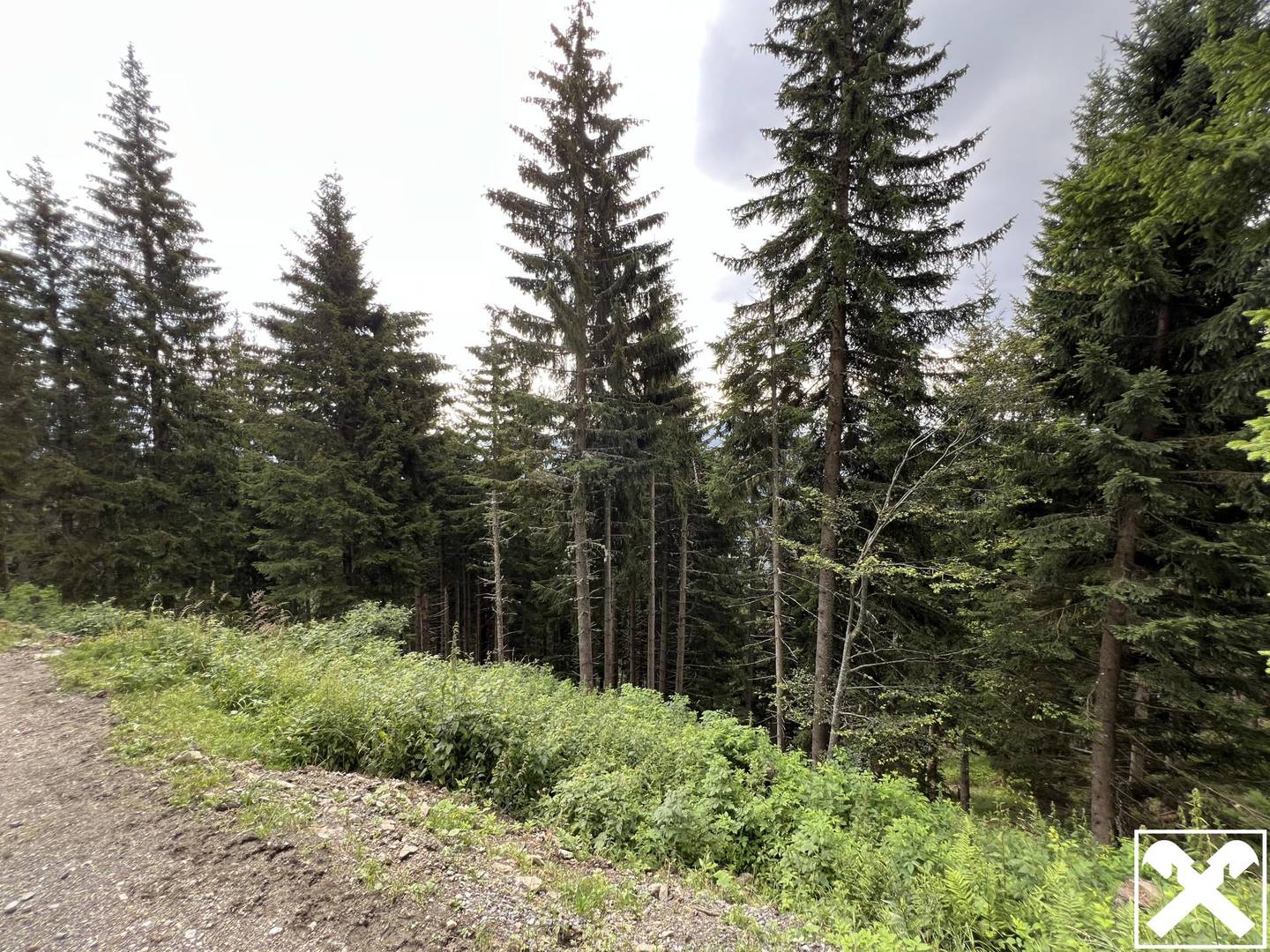 Waldparzellen unter der Feistritzer Alm Anlegerwohnung
