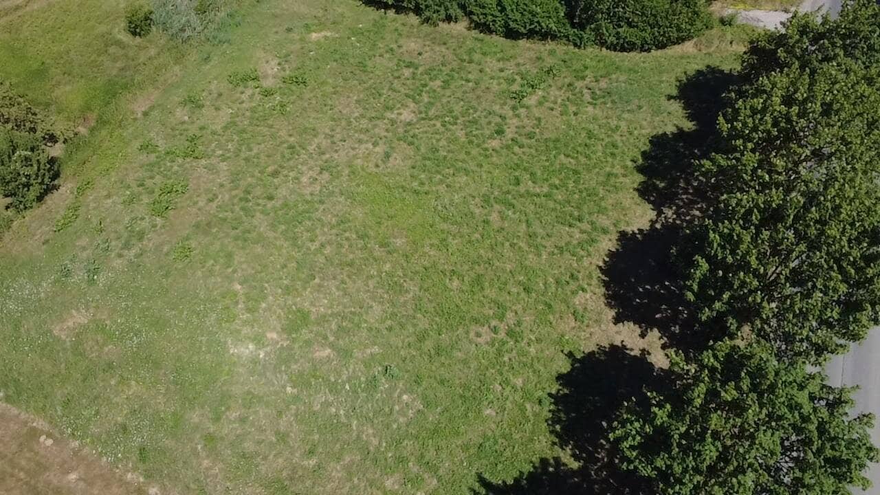 Großzügiges Baugrundstück 1487m² in 2126 Pürstendorf – Eigenheim nach Wunsch!