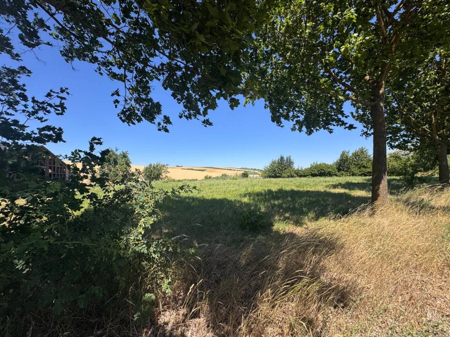 Großzügiges Baugrundstück 1487m² in 2126 Pürstendorf – Eigenheim nach Wunsch!