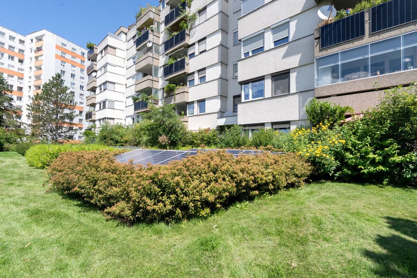 Stilvolle 3-Zimmer Wohnung mit Terrasse und Tiefgaragenparkplatz in 4030 Linz zu kaufen