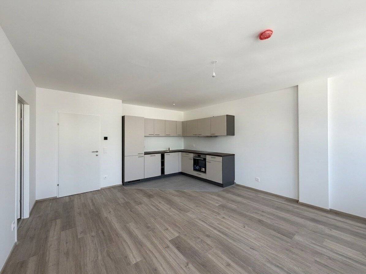 New and cooled 2-room apartment with best connection to U4/U6 - first occupancy