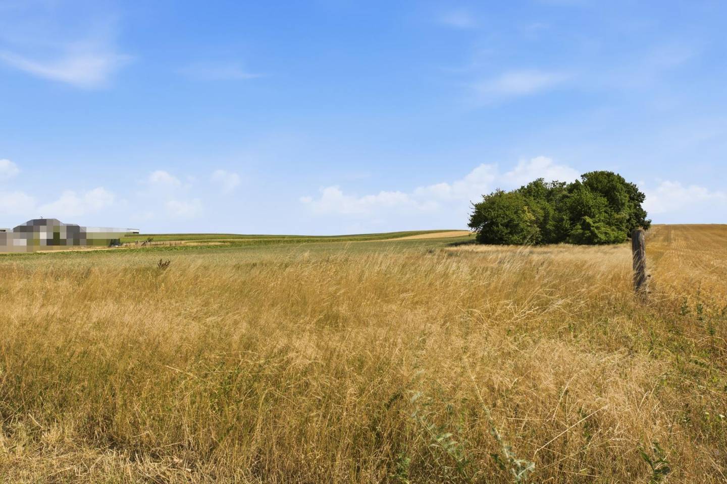 Großes landwirtschaftliches Grundstück ideal für Ackerbau Wohnung