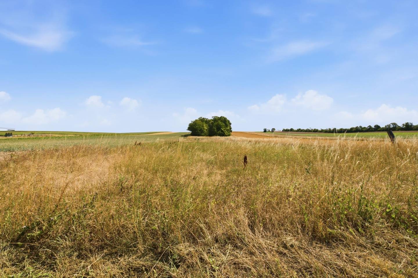 Großes landwirtschaftliches Grundstück ideal für Ackerbau Wohnung