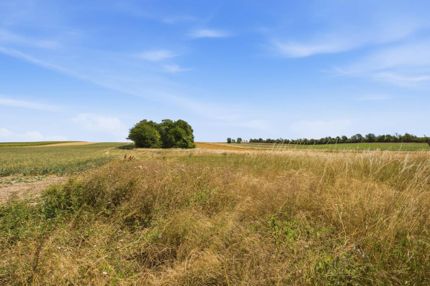 Großes landwirtschaftliches Grundstück ideal für Ackerbau Wohnung