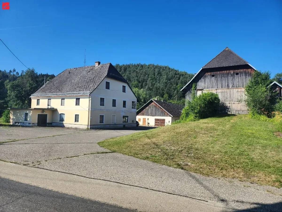 18 ha Landwirtschaft in Top-Lage – Eben, Arrondiert &amp; mit Hofstelle