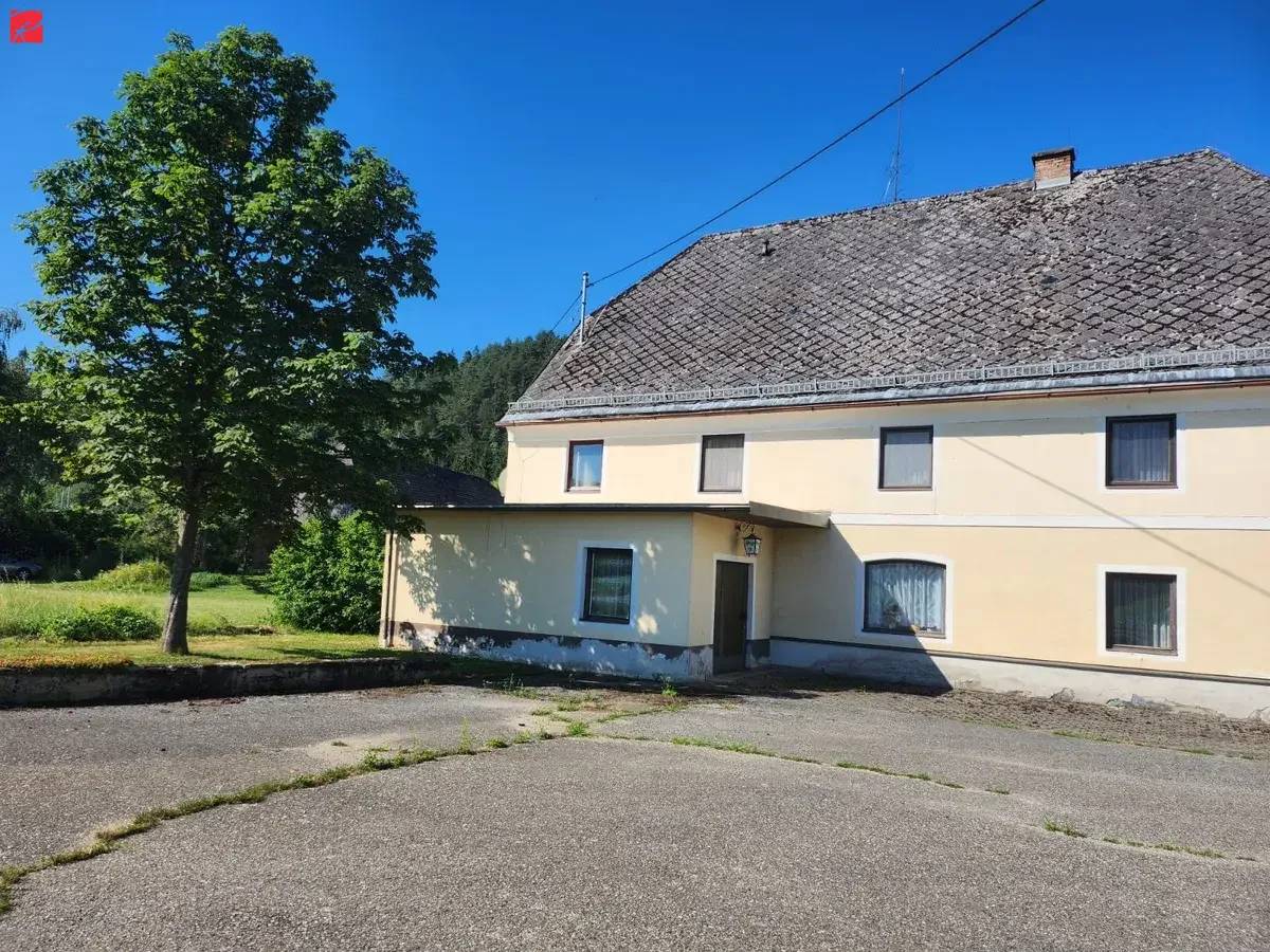 18 ha Landwirtschaft in Top-Lage – Eben, Arrondiert &amp; mit Hofstelle