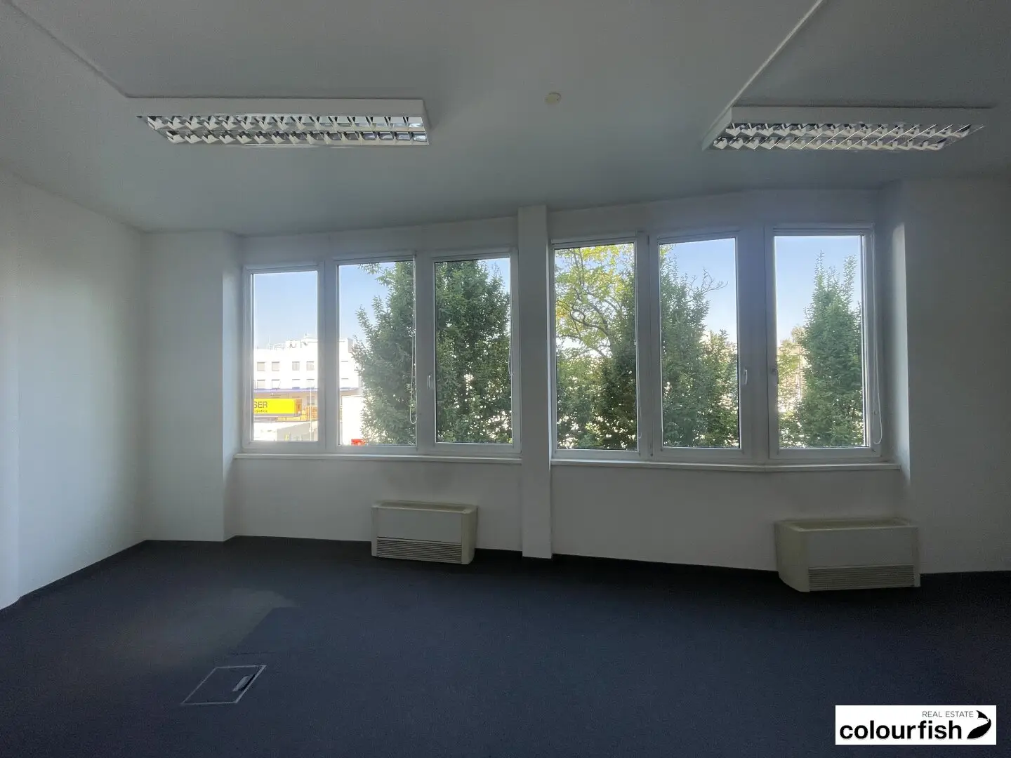 Immobilienbild 4
