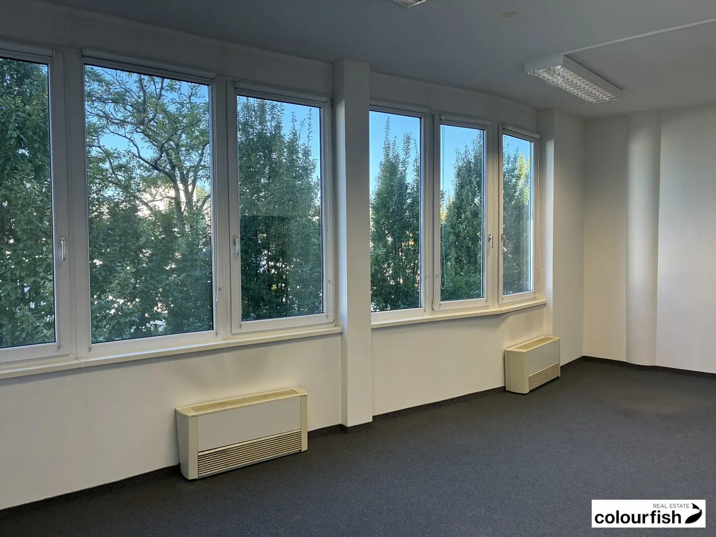 Immobilienbild 2
