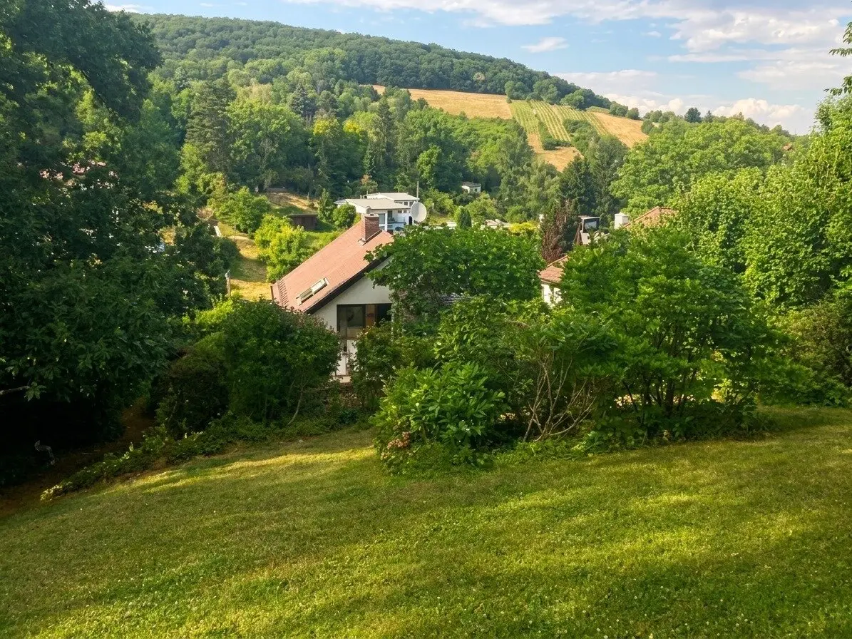 Lovely green quiet location on the edge of Kritzendorf: Charming single family house with large slope garden, ground-level terrace, 3 rooms, winter garden, sauna, 3 cellar rooms and parking space