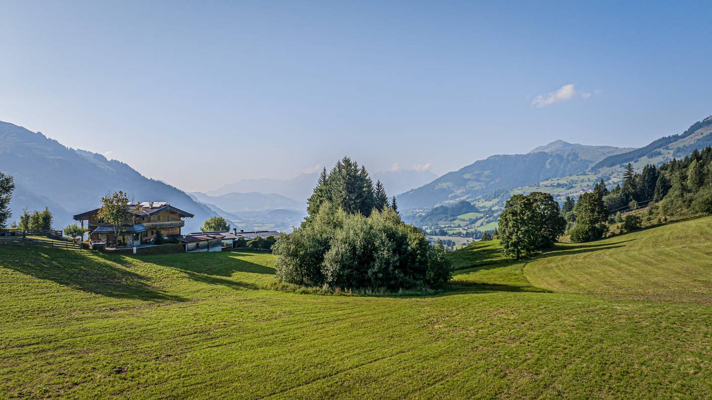 Sonnige Erdgeschosswohnung mit Garten und Kaiserblick