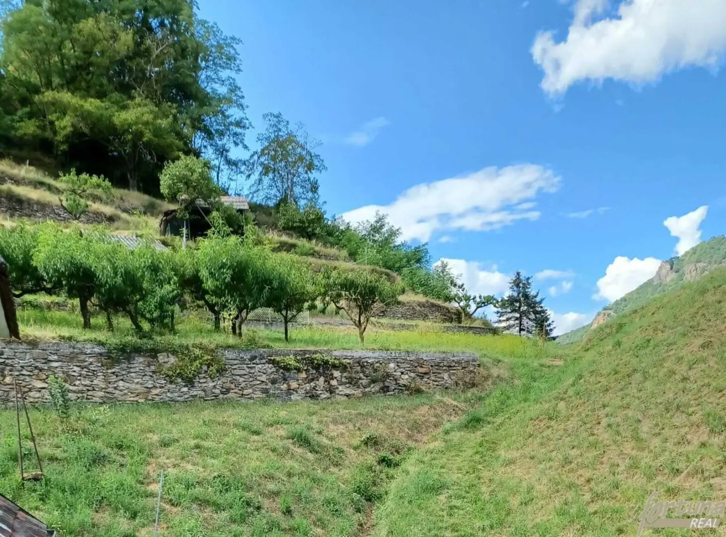 Wachauromantik: Landhaus mit terrassenförmigem Grundstück – Donaublick vom oberen Grundstücksbereich