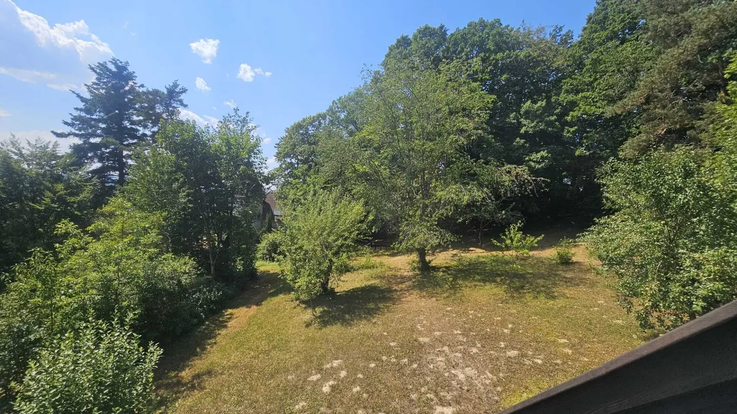 Großzügiges Baugrundstück – Bauklasse I und II (Bauträgerprojekt mit mehreren Wohneinheiten, Reihenhäuser, Villa mit parkähnlichem Garten)