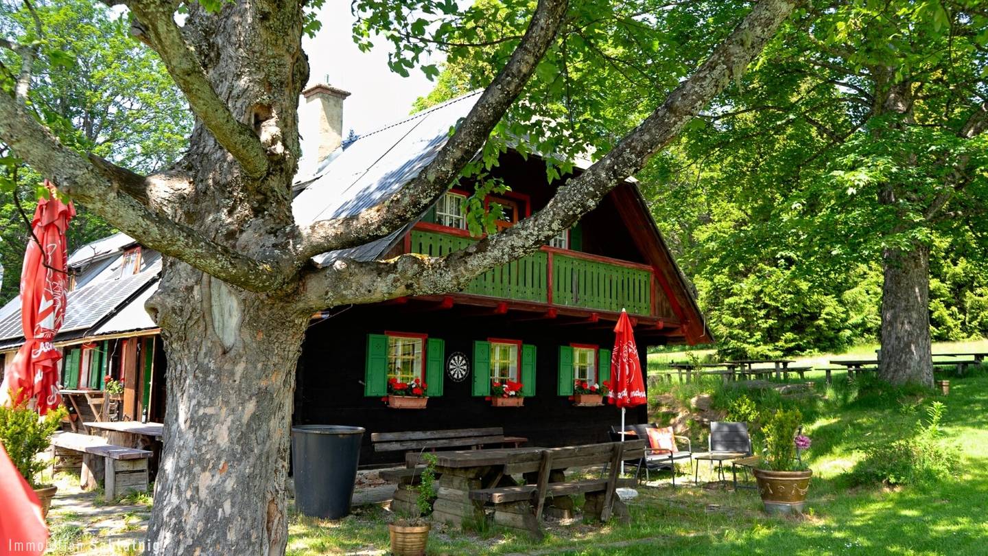 EINZIGARTIGES ALMREFUGIUM IN DER WESTSTEIERMARK – Ihr persönlicher Rückzugsort auf 1.320 m Seehöhe!