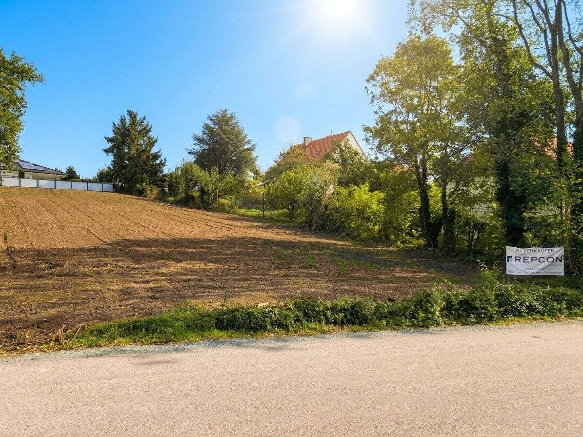 Baugrundstück in BESTLAGE