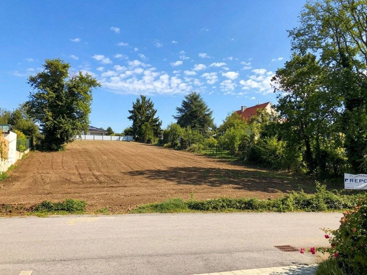 Baugrundstück in BESTLAGE