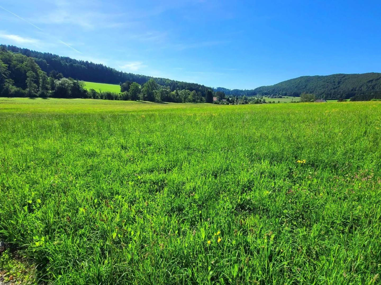 Sonnige Wohnung am Waldrand mit Schöcklblick