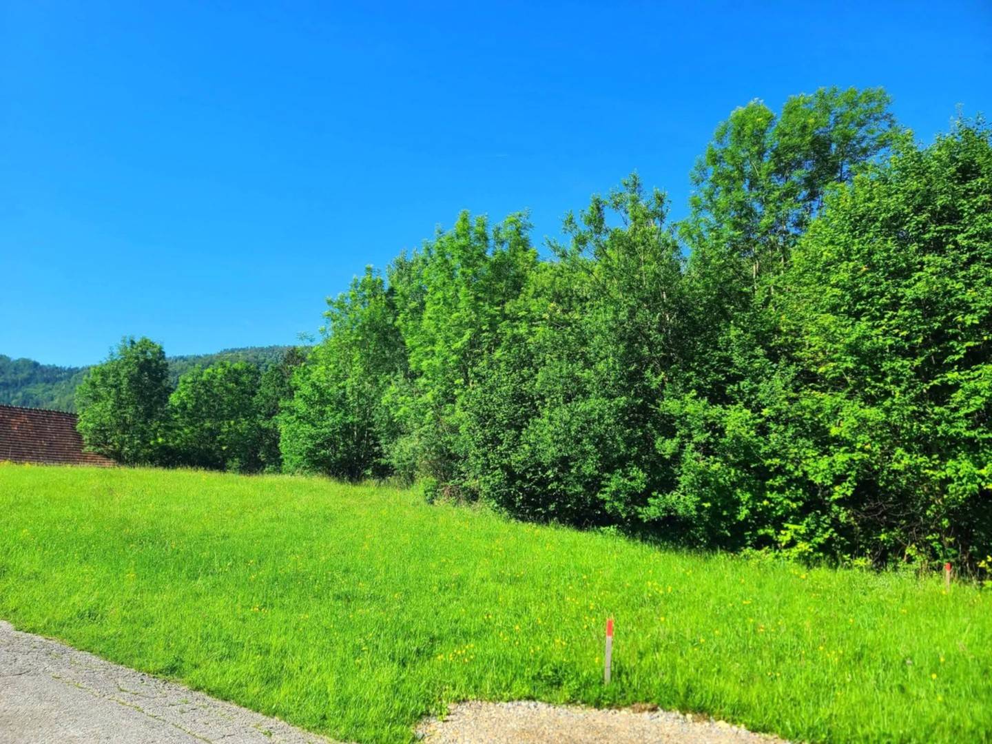 Sonnige Wohnung am Waldrand mit Schöcklblick