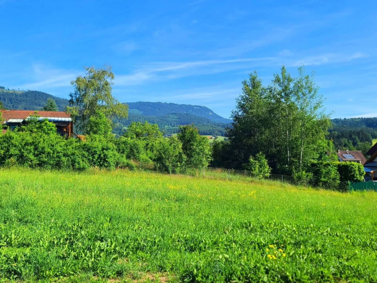 Sonnige Wohnung am Waldrand mit Schöcklblick