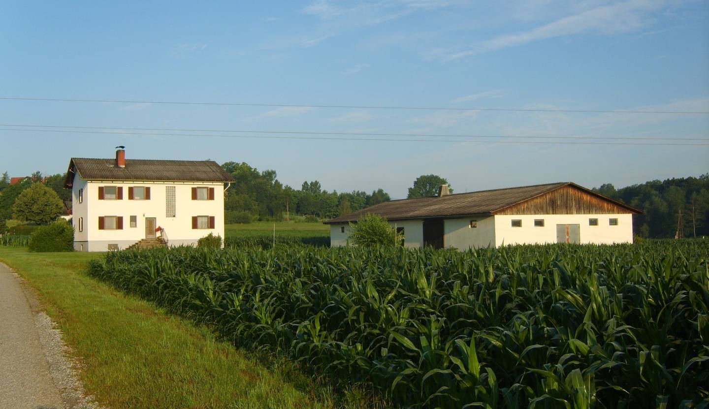 Hofstelle mit Ackerland und Koralmblick Wohnung