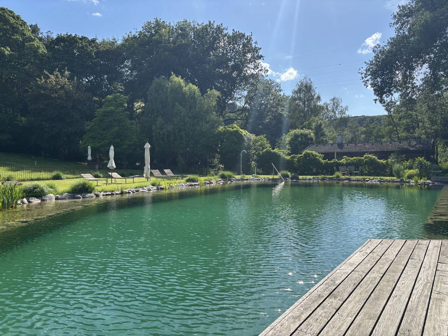 Wohnung mit großzügiger Terrasse und Parkblick