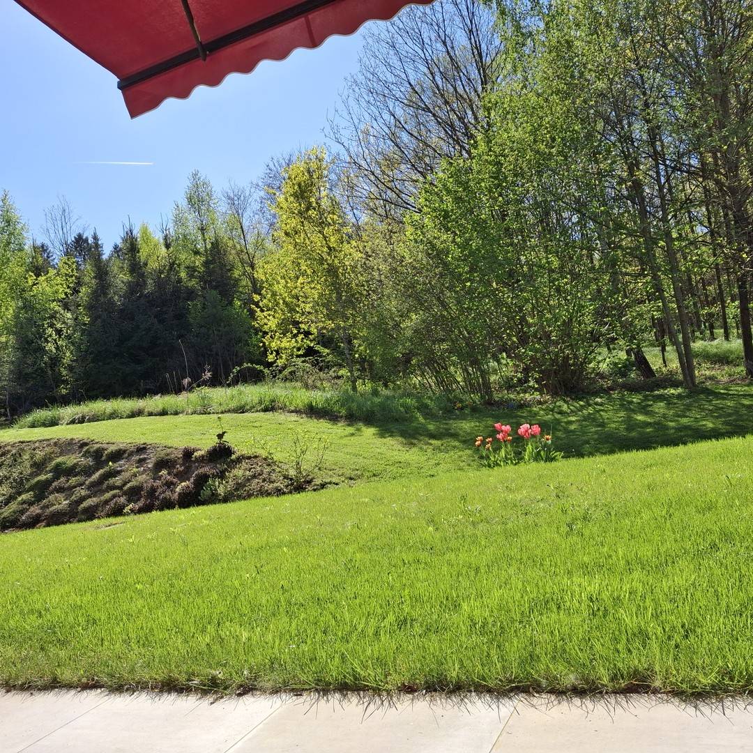 Lichtdurchflutete Wohnung mit Garten und großer Terrasse am Waldrand